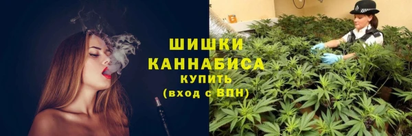 сатива Баксан