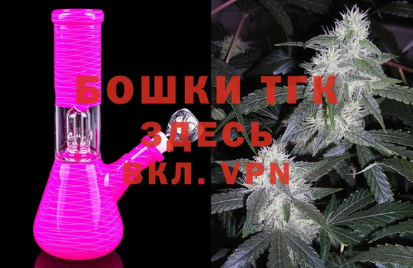 сатива Баксан