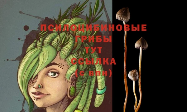 гидропоника Балахна