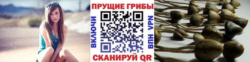 Купить закладки  Харабали  Галлюциногенные грибы Cubensis 